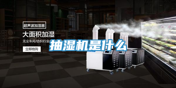 抽湿机是什么