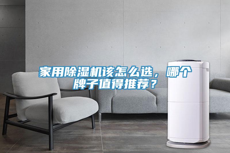 家用除湿机该怎么选，哪个牌子值得推荐？