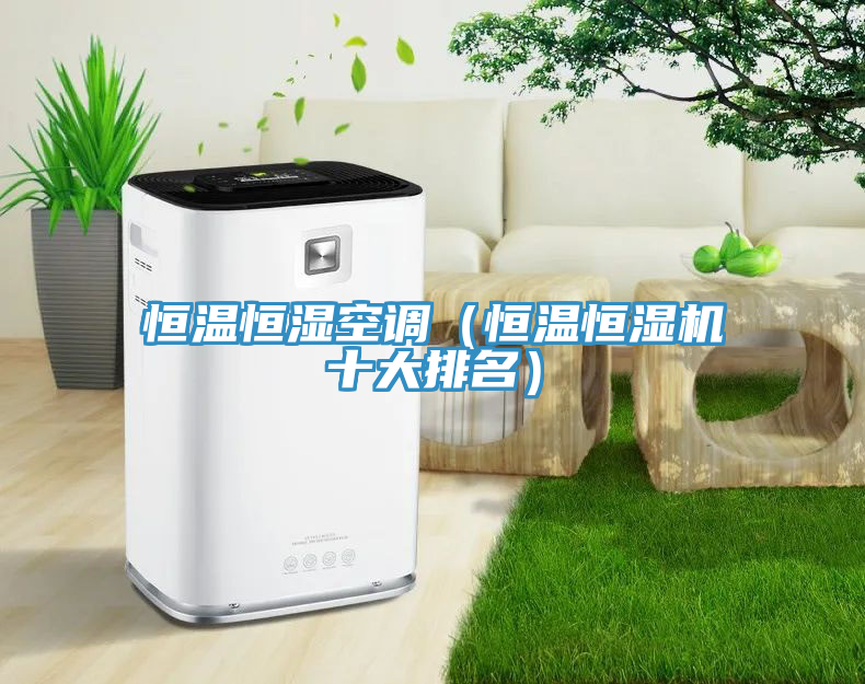 恒温恒湿空调（恒温恒湿机十大排名）