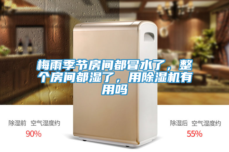 梅雨季节房间都冒水了，整个房间都湿了，用除湿机有用吗