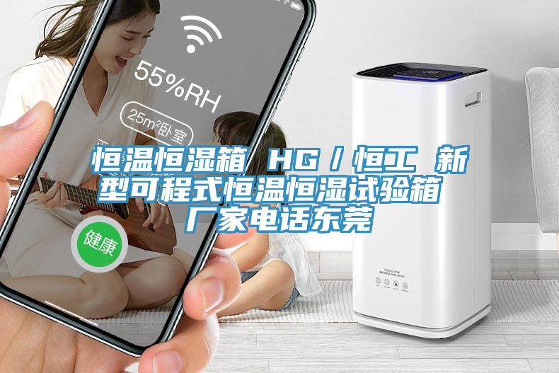 恒温恒湿箱 HG／恒工 新型可程式恒温恒湿试验箱 厂家电话东莞