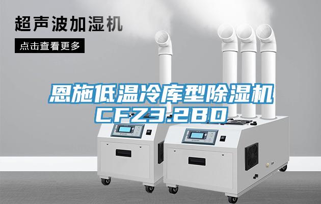 恩施低温冷库型除湿机CFZ3.2BD