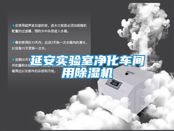 延安实验室净化车间用除湿机