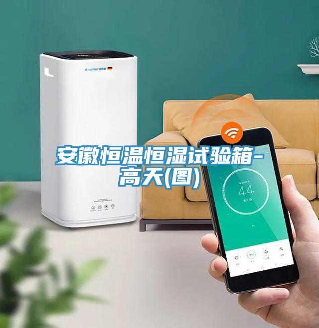 安徽恒温恒湿试验箱-高天(图)