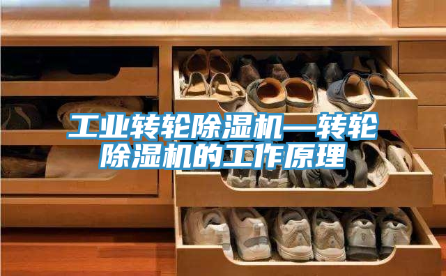 工业转轮除湿机—转轮除湿机的工作原理