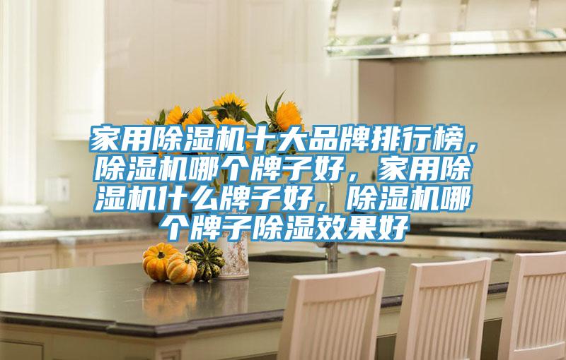 家用除湿机十大品牌排行榜，除湿机哪个牌子好，家用除湿机什么牌子好，除湿机哪个牌子除湿效果好