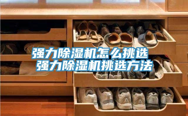 强力除湿机怎么挑选 强力除湿机挑选方法