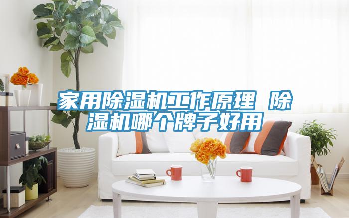 家用除湿机工作原理 除湿机哪个牌子好用