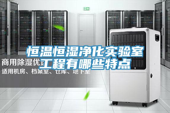 恒温恒湿净化实验室工程有哪些特点