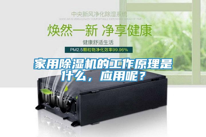 家用除湿机的工作原理是什么，应用呢？