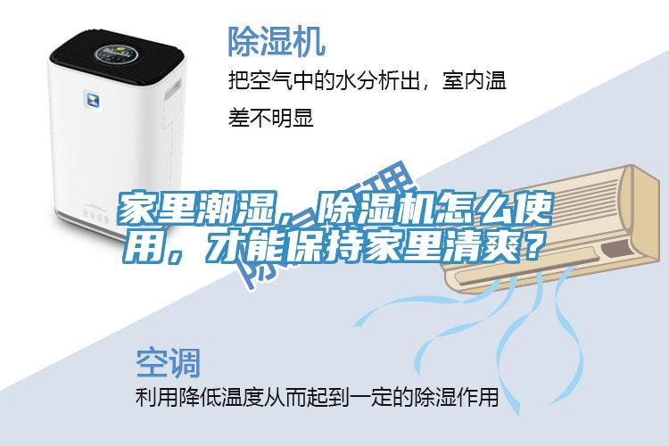 家里潮湿，除湿机怎么使用，才能保持家里清爽？
