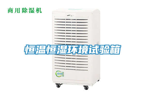 恒温恒湿环境试验箱