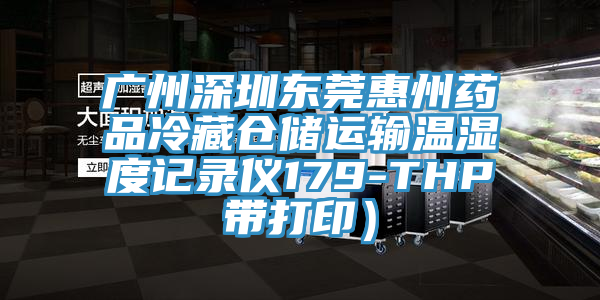 广州深圳东莞惠州药品冷藏仓储运输温湿度记录仪179-THP带打印）