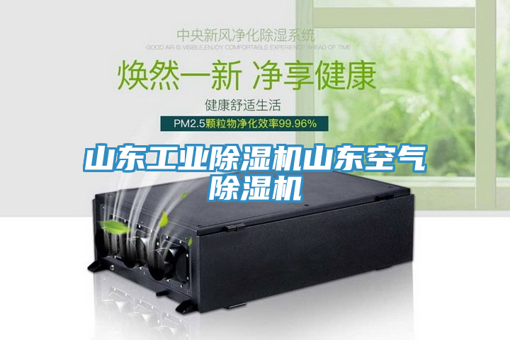 山东工业除湿机山东空气除湿机