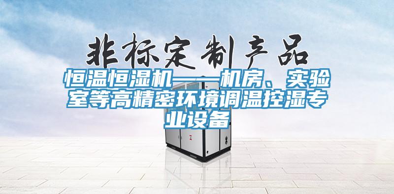 恒温恒湿机——机房、实验室等高精密环境调温控湿专业设备