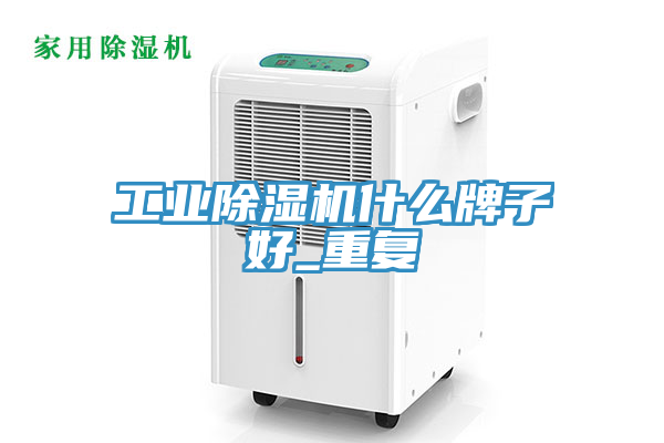 工业除湿机什么牌子好_重复