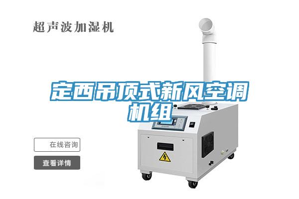 定西吊顶式新风空调机组