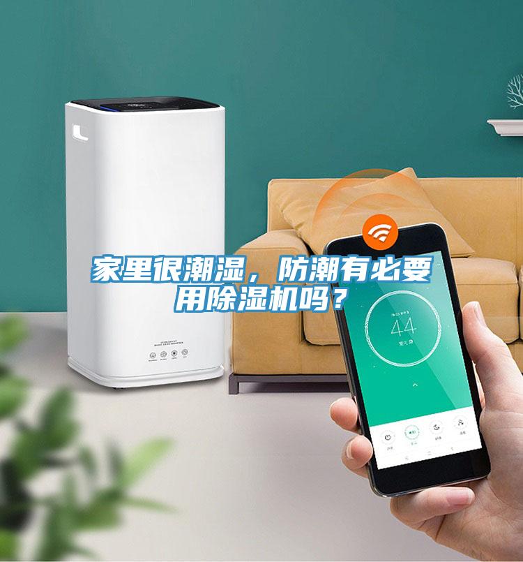 家里很潮湿，防潮有必要用除湿机吗？