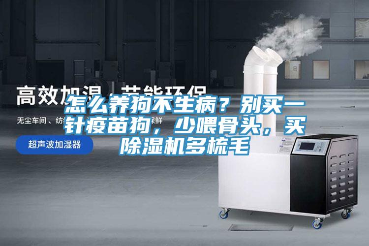 怎么养狗不生病？别买一针疫苗狗，少喂骨头，买除湿机多梳毛