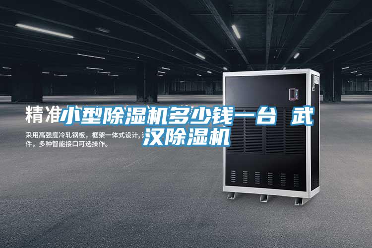 小型除湿机多少钱一台 武汉除湿机