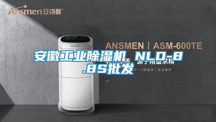 安徽工业除湿机 NLD-8.8S批发