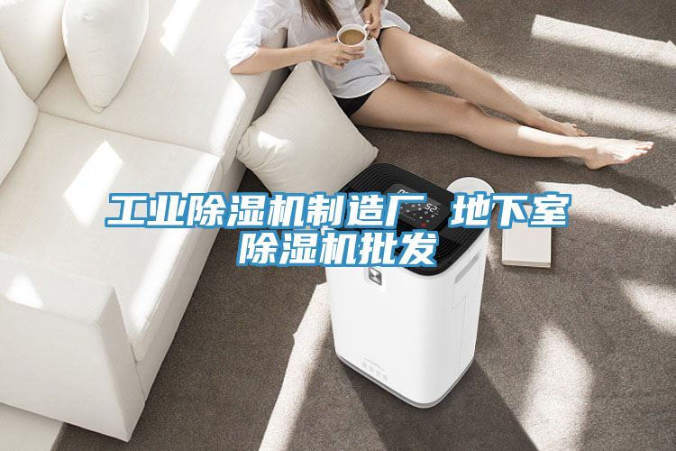 工业除湿机制造厂 地下室除湿机批发