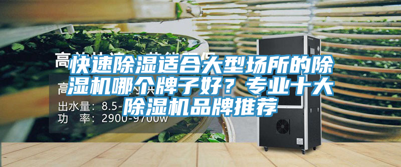 快速除湿适合大型场所的除湿机哪个牌子好？专业十大除湿机品牌推荐
