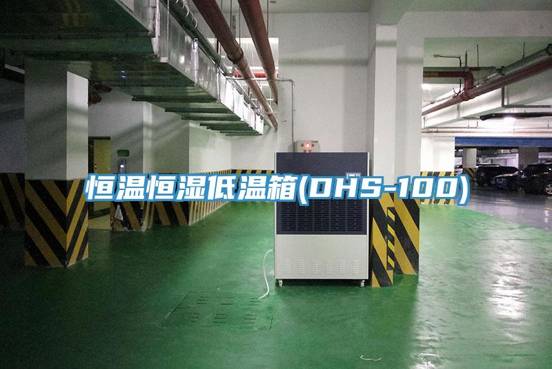 恒温恒湿低温箱(DHS-100)