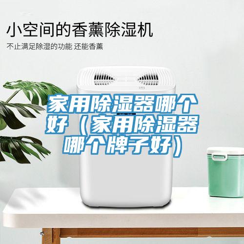 家用除湿器哪个好（家用除湿器哪个牌子好）
