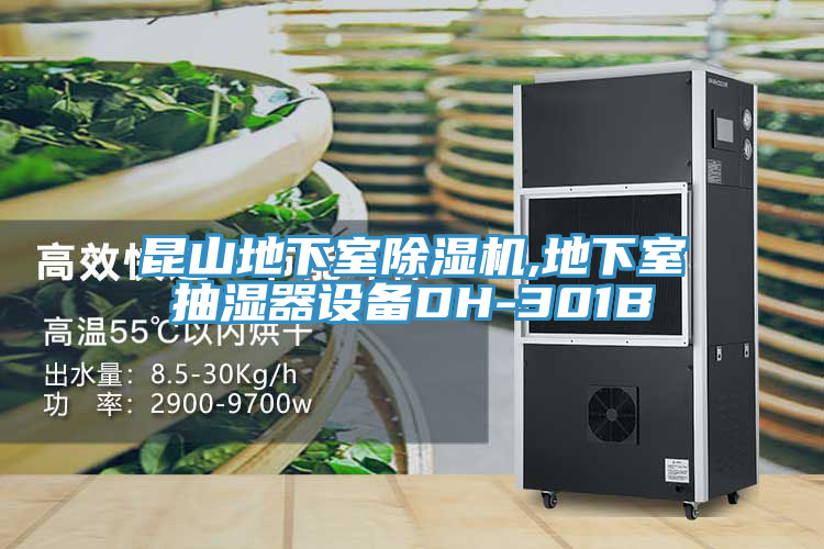 昆山地下室除湿机,地下室抽湿器设备DH-301B