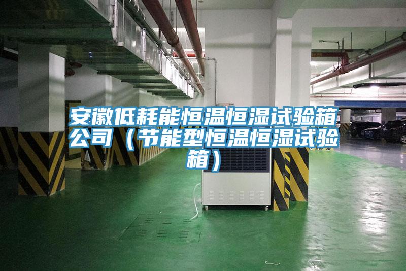 安徽低耗能恒温恒湿试验箱公司（节能型恒温恒湿试验箱）