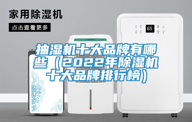 抽湿机十大品牌有哪些（2022年除湿机十大品牌排行榜）