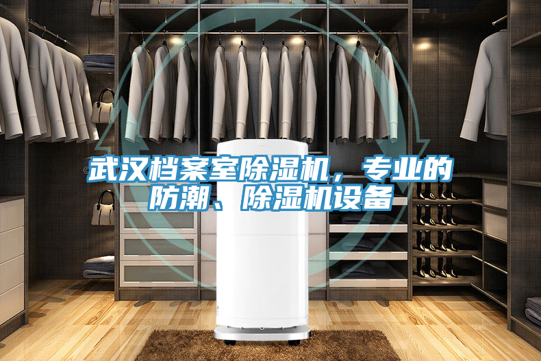 武汉档案室除湿机，专业的防潮、除湿机设备