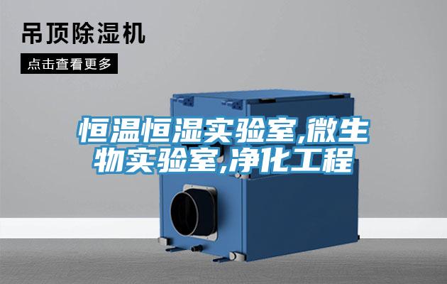 恒温恒湿实验室,微生物实验室,净化工程