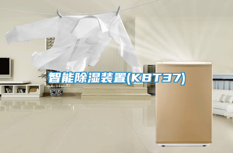智能除湿装置(KBT37)