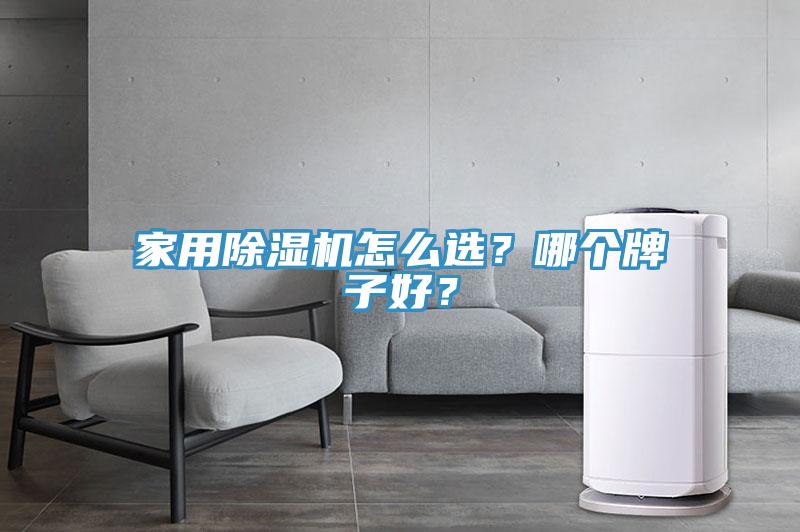 家用除湿机怎么选？哪个牌子好？