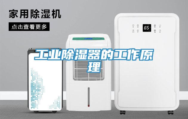 工业除湿器的工作原理