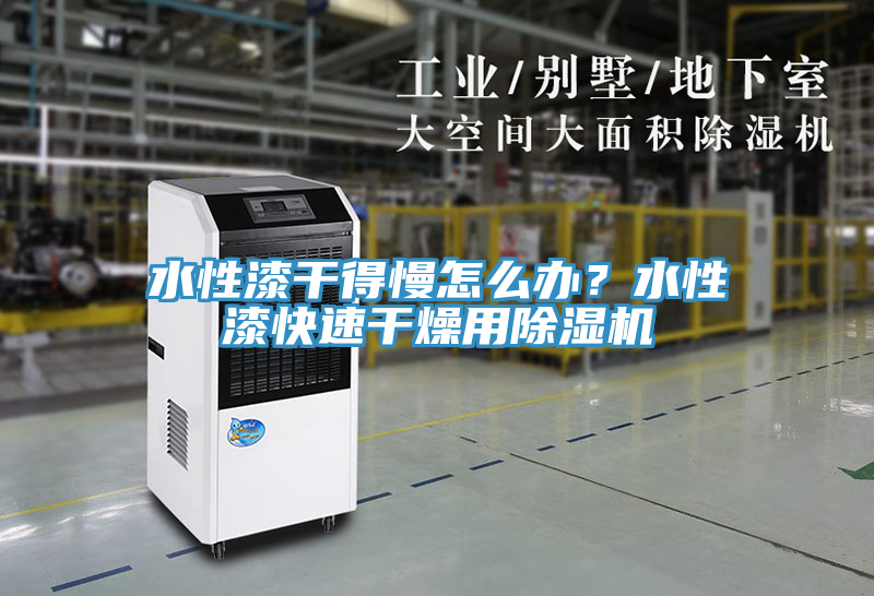 水性漆干得慢怎么办？水性漆快速干燥用除湿机