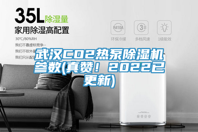 武汉CO2热泵除湿机参数(真赞！2022已更新)