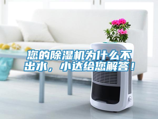 您的除湿机为什么不出水，小达给您解答！