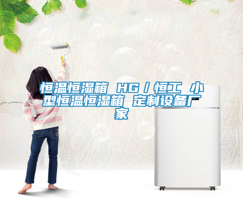 恒温恒湿箱 HG／恒工 小型恒温恒湿箱 定制设备厂家