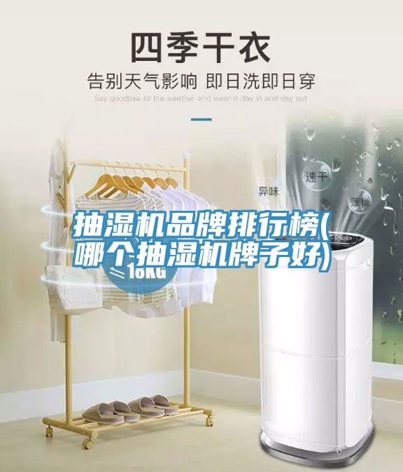 抽湿机品牌排行榜(哪个抽湿机牌子好)