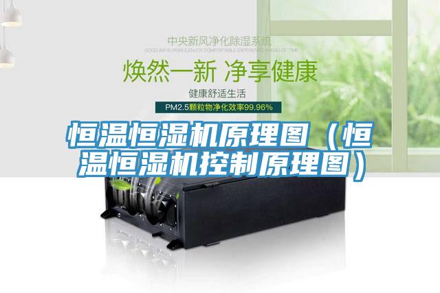 恒温恒湿机原理图（恒温恒湿机控制原理图）