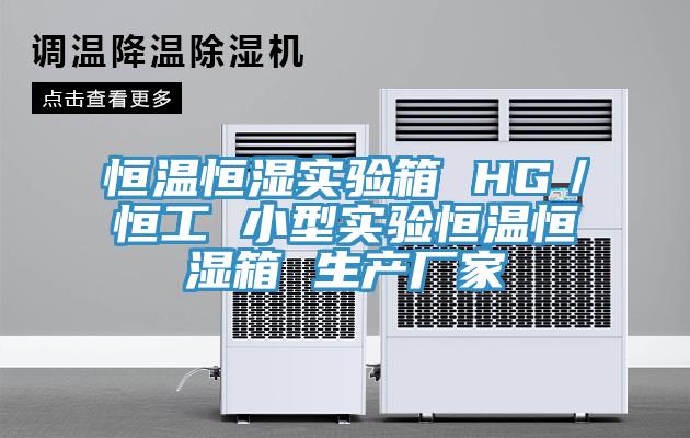 恒温恒湿实验箱 HG／恒工 小型实验恒温恒湿箱 生产厂家