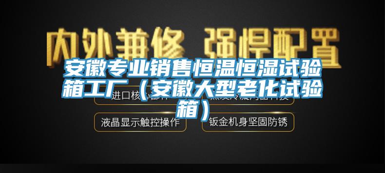 安徽专业销售恒温恒湿试验箱工厂（安徽大型老化试验箱）