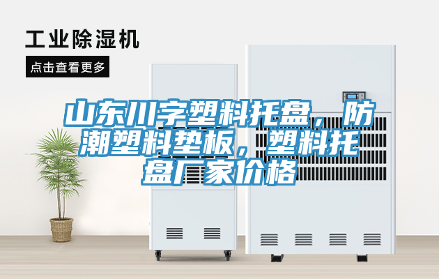 山东川字塑料托盘，防潮塑料垫板，塑料托盘厂家价格