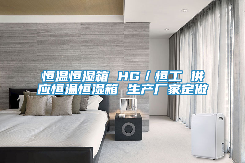 恒温恒湿箱 HG／恒工 供应恒温恒湿箱 生产厂家定做