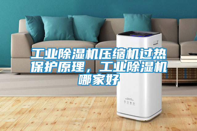 工业除湿机压缩机过热保护原理，工业除湿机哪家好