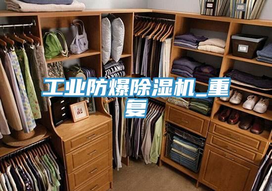 工业防爆除湿机_重复