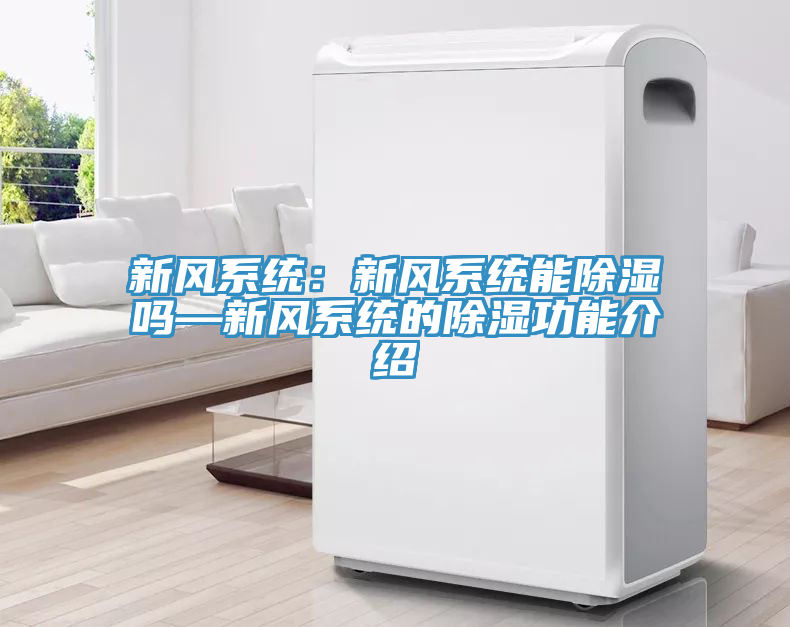 新风系统：新风系统能除湿吗—新风系统的除湿功能介绍